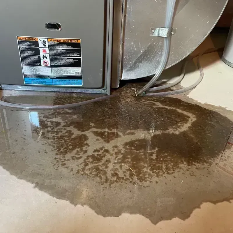 Appliance Leak Cleanup in La Salle Parish, LA